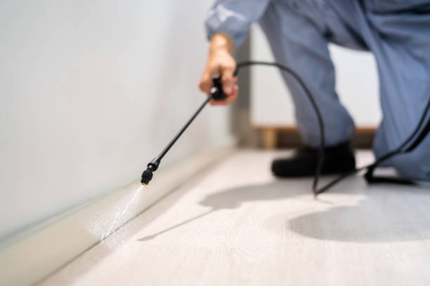 Licensed Pest Control service in Goodman, MS - Show Me Pest Control