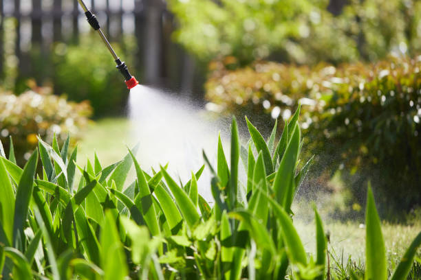 24/7 Emergency Mosquito Control experts in Goodman, MS