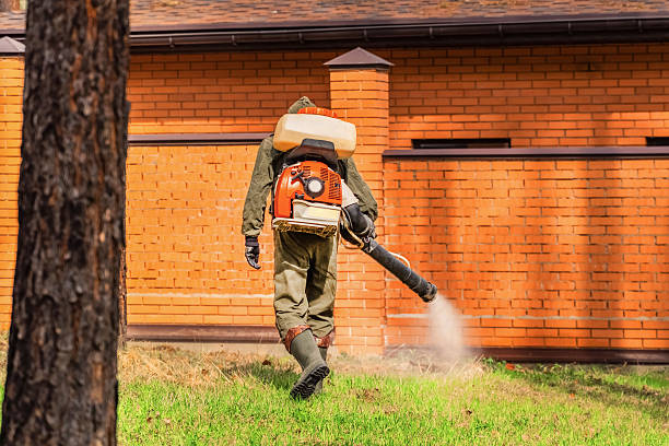 Top rated local Mosquito Control specialists in Goodman, MS